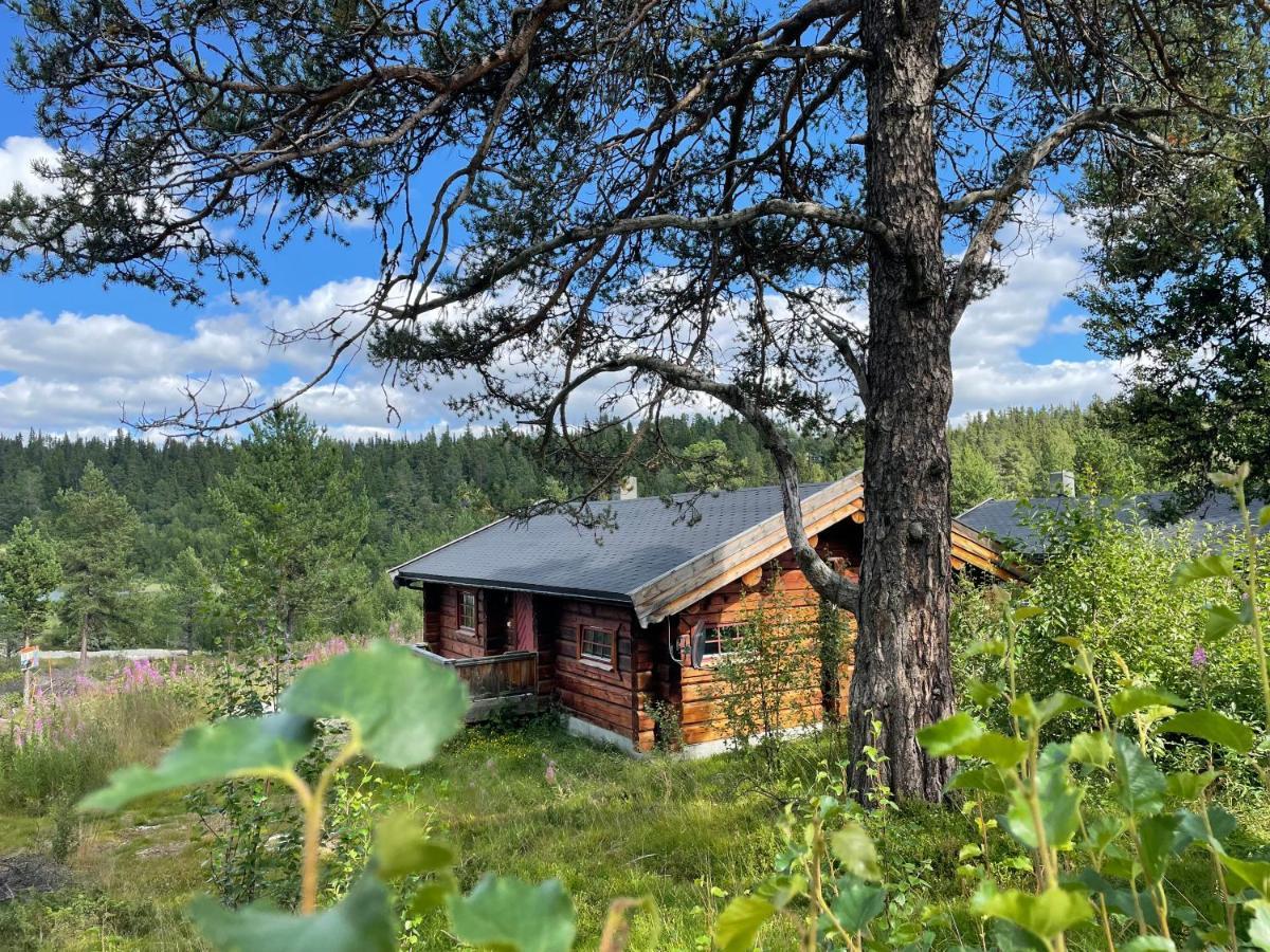 Masaplassen Friisvegen Mountain Lodge Ringebu Exterior foto