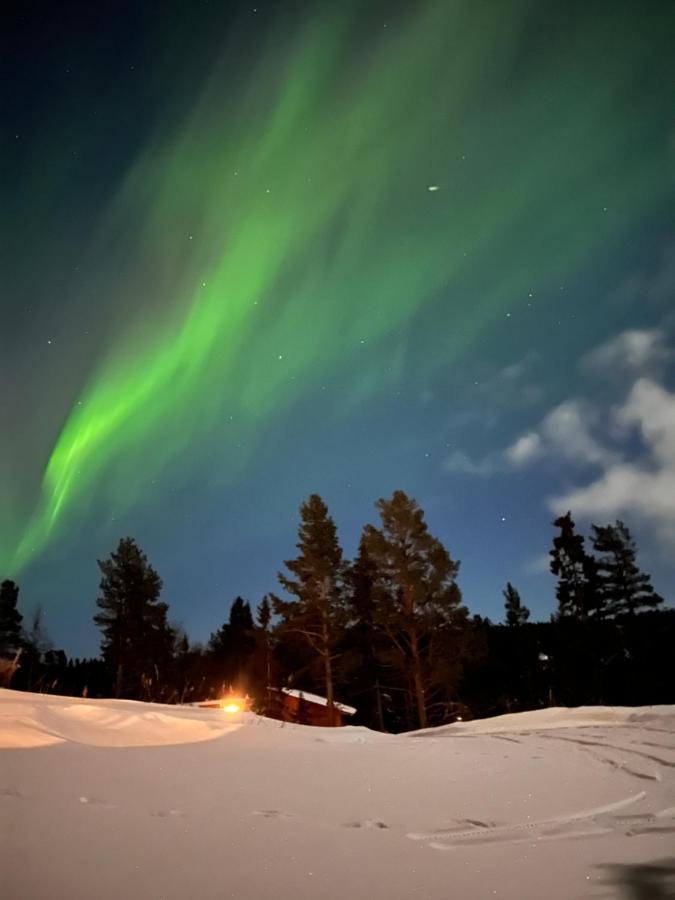 Masaplassen Friisvegen Mountain Lodge Ringebu Exterior foto