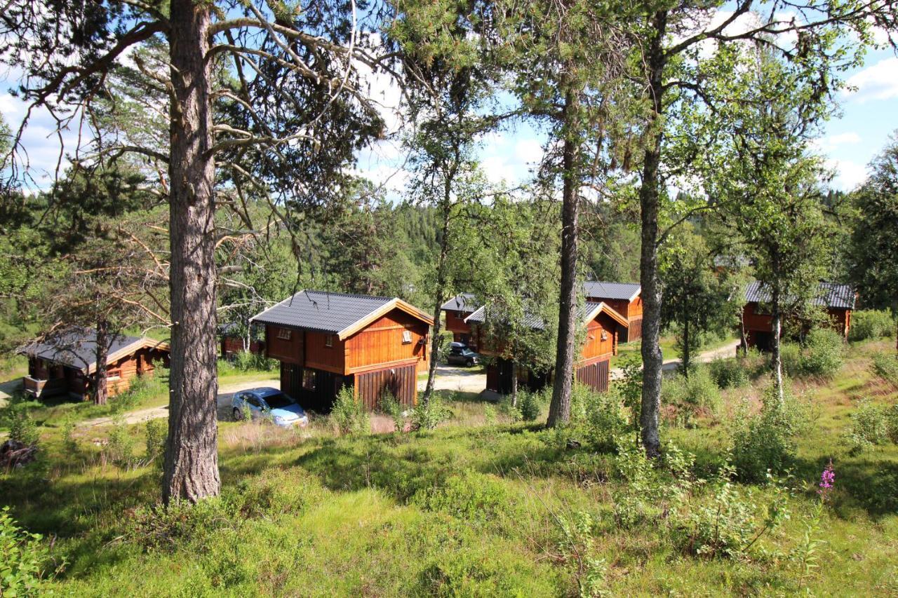 Masaplassen Friisvegen Mountain Lodge Ringebu Exterior foto