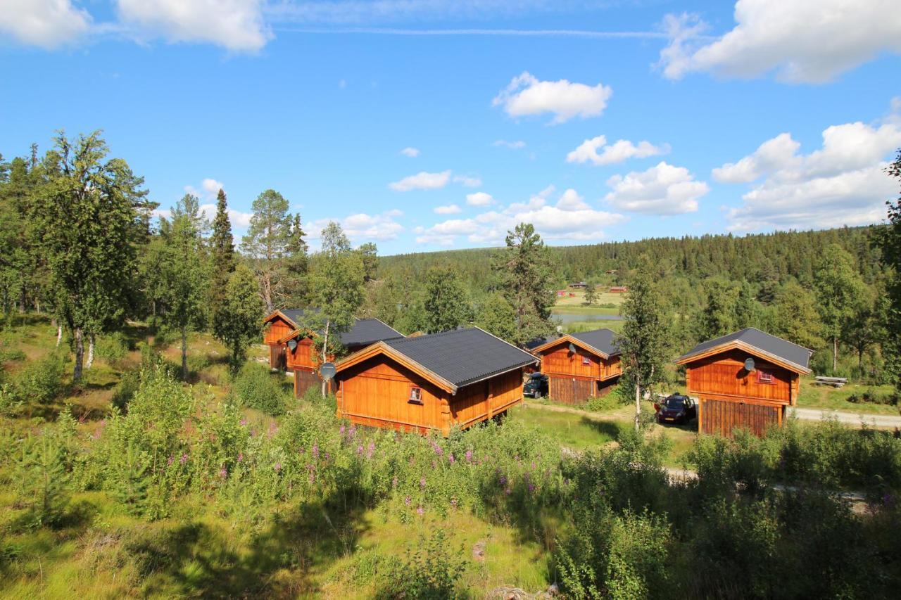 Masaplassen Friisvegen Mountain Lodge Ringebu Exterior foto